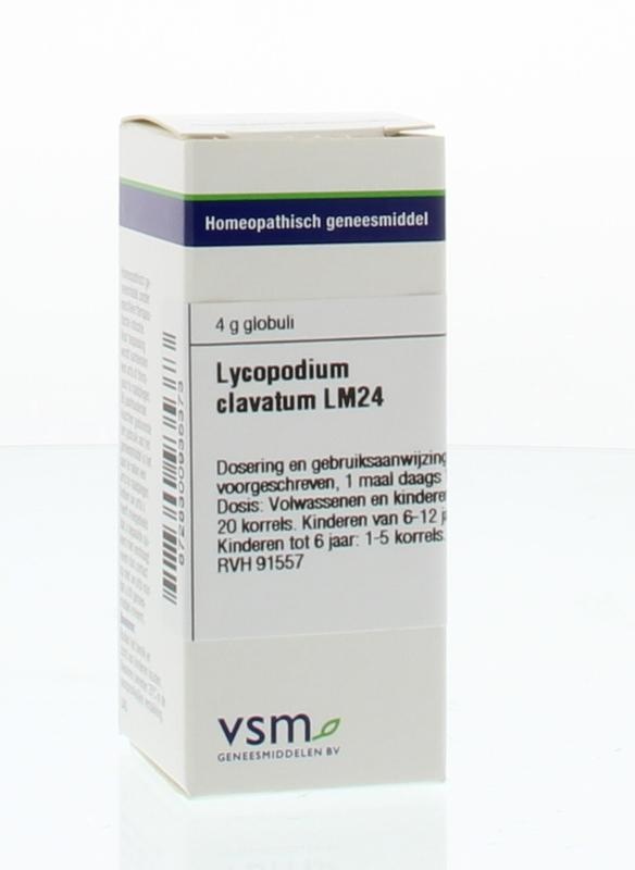 Lycopodium clavatum LM24