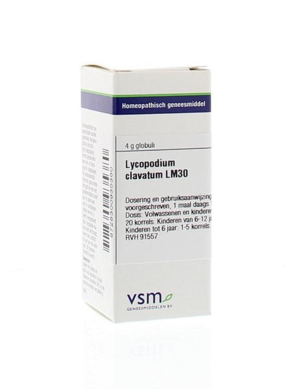 Lycopodium clavatum LM30
