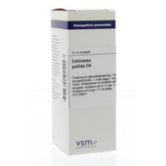 VSM Echinacea pallida D4 (20 ml)