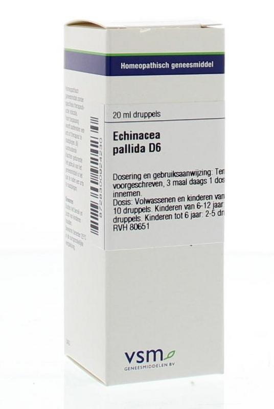 Echinacea pallida D6