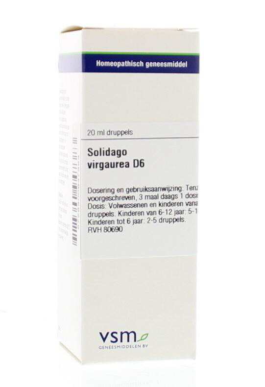 VSM VSM Solidago virgaurea D6 (20 ml)