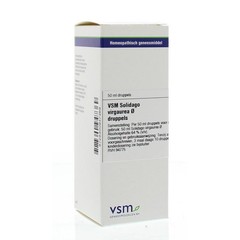 VSM Solidago virgaurea oer (50 ml)