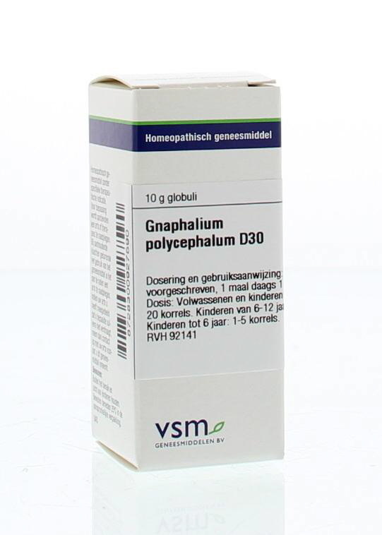 Gnaphalium polycephalum D30