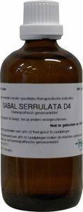 Sabal serrulata D4