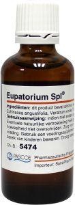 Pascoe Pascoe Eupatorium similiaplex (50 ml)