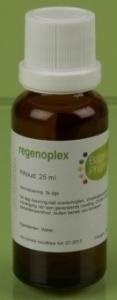 Balance Pharma Balance Pharma RGP003 Pancreas Regenoplex (30 ml)