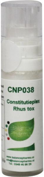 Balance Pharma Balance Pharma CNP38 Rhus tox Constitutieplex (6 gr)