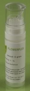 HFP064 Trots Flowerplex