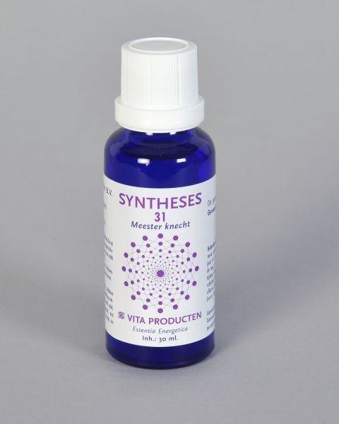 Syntheses 31 meester knecht