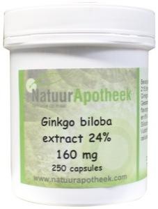 Natuurapotheek Natuurapotheek Ginkgo biloba 24% 100 mg (250 caps)