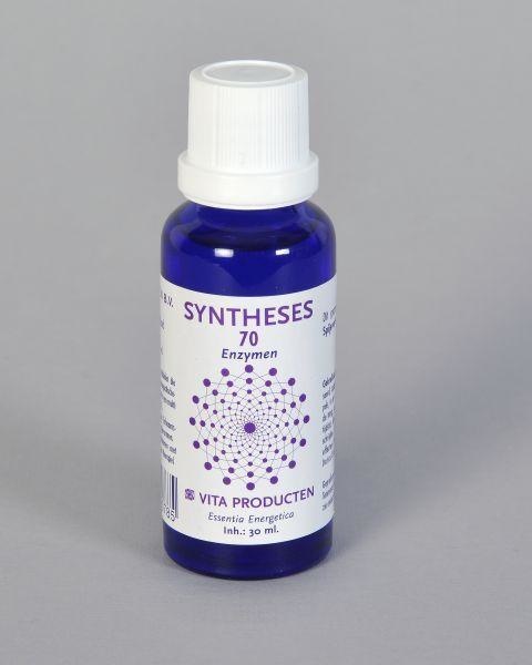 Vita Vita Syntheses 70 spijsvertering enzym (30 ml)