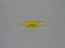 Alive DNA testfilter (1 st)
