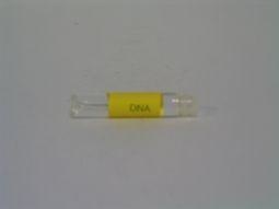 Alive Alive DNA testfilter (1 st)