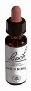 Alive BA37 Wild rose (50 ml)