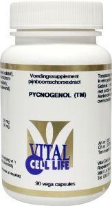 Vital Cell Life Pycnogenol (90 Vegetarische capsules) Vital Cell Life Pycnogenol (90 Vegetarische capsules)