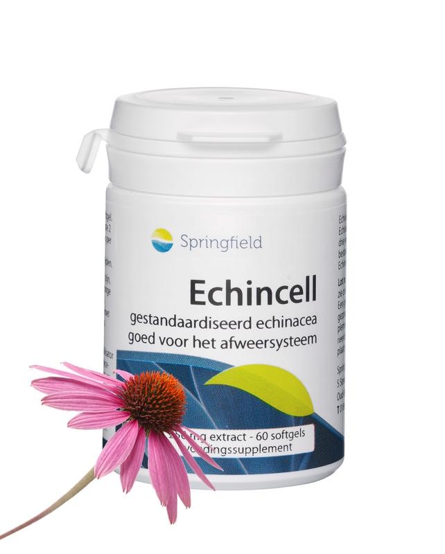 Springfield Springfield Echincell echinacea extract (60 Softgels)