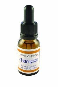 Indigo Essences Indigo Essences Champion (15 ml)