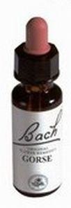 Alive BA13 Gorse (50 ml)