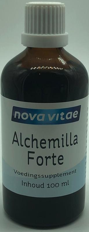 Alchemilla forte (vrouwenmantel) kruidentinctuur