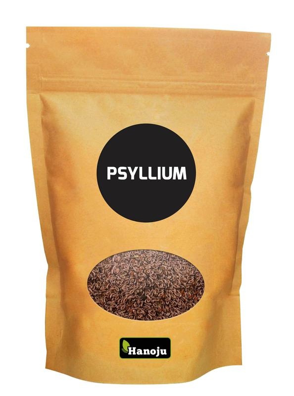 Hanoju Psyllium organic (500 gram)