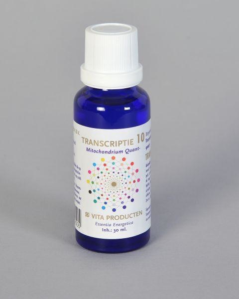 Vita Vita Transcriptie 10 Mitochondrium quant- (30 ml)