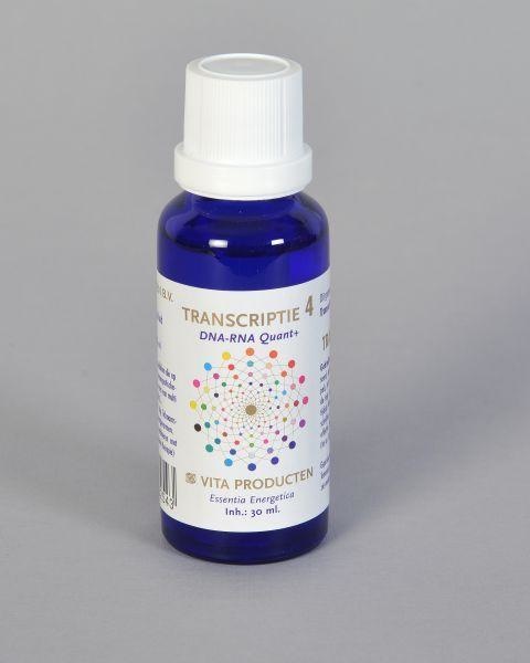 Vita Vita Transcriptie 4 DNA-RNA quant+ (30 ml)