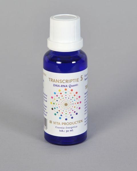 Vita Vita Transcriptie 5 DNA-RNA quant- (30 ml)