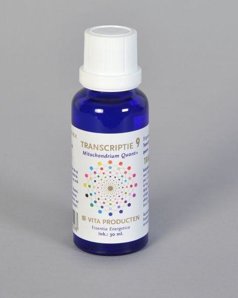 Vita Vita Transcriptie 9 mitochondrium quant+ (30 ml)