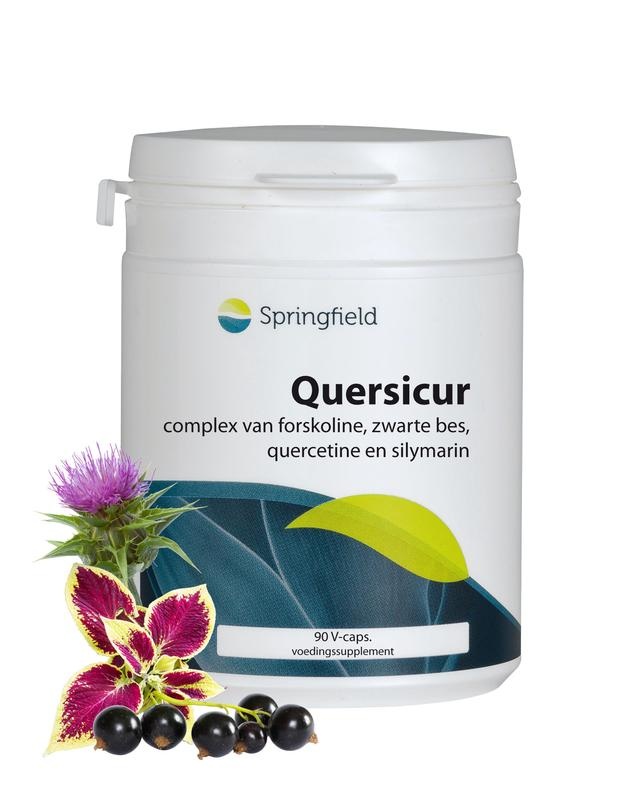 Springfield Springfield Quersicur antioxy complex (90 vega caps)