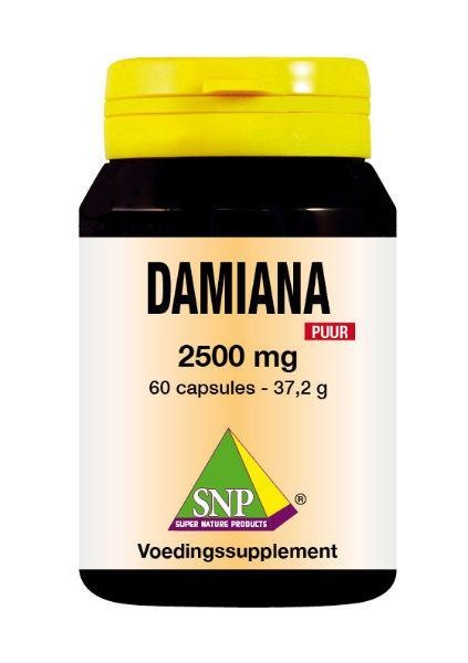 SNP SNP Damiana extract 2500 mg puur (60 caps)