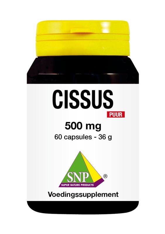 SNP SNP Cissus 500 mg puur (60 caps)