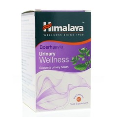 Himalaya Wellness boerhaavia (60 caps)