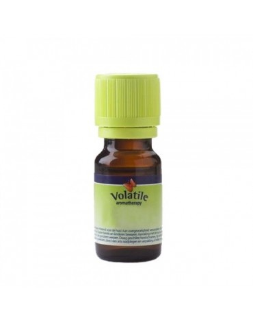 Volatile Volatile Eucalyptus citriodora (10 ml)