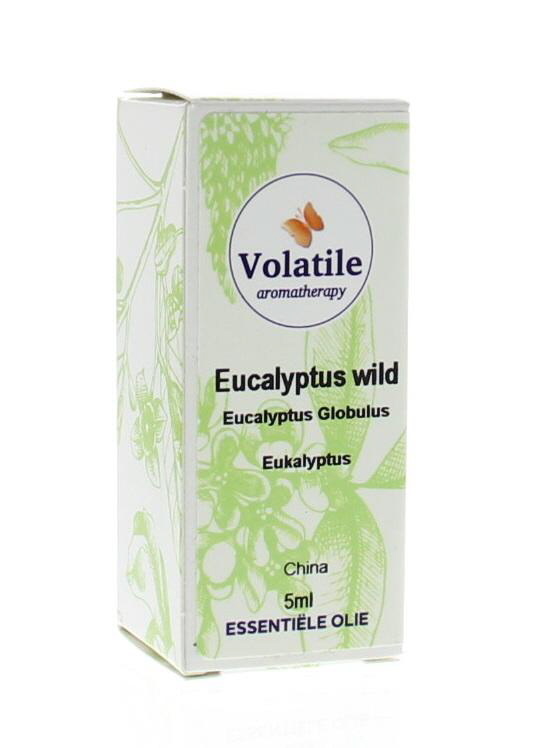 Volatile Volatile Eucalyptus wild (5 ml)