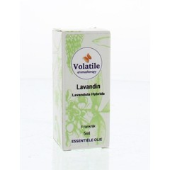 Volatile Lavandin (5 ml)