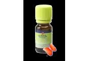 Volatile Volatile Melisse officinalis (2 ml)