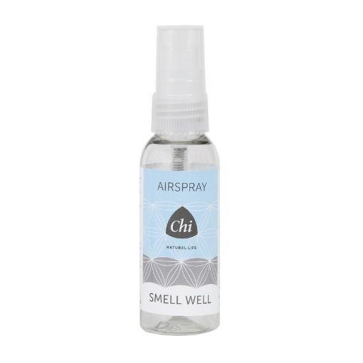 CHI Smell well airspray (50 Milliliter) CHI Smell well airspray (50 Milliliter)
