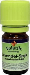Volatile Volatile Lavendel spijk (10 ml)