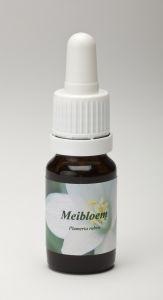 Star Remedies Meibloem (10 ml)
