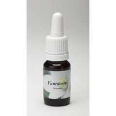 Star Remedies Vuurdoorn (10 ml)