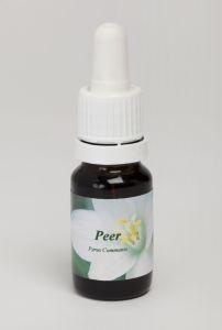Star Remedies Peer (10 ml)