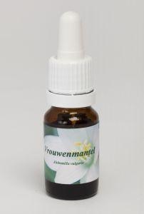 Star Remedies Star Remedies Vrouwenmantel (10 ml)