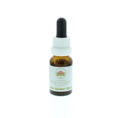 Australian Bush Green spider orchid aust bush# (15 ml)