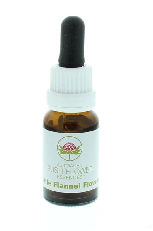 Australian Bush Australian Bush Little flannel flower (15 ml)