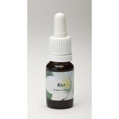 Star Remedies Riet (10 ml)