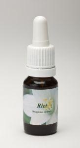 Star Remedies Star Remedies Riet (10 ml)