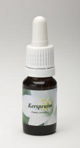 Star Remedies Star Remedies Kerspruim (10 ml)