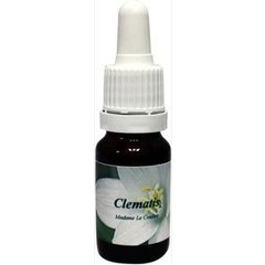Star Remedies Clematis madame le coultre (10 ml)