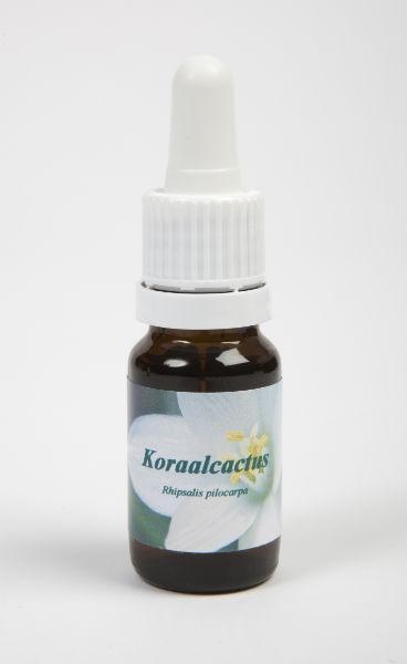Star Remedies Koraalcactus (10 ml)