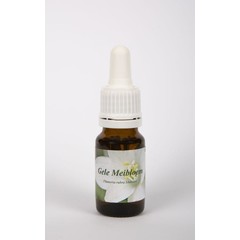 Star Remedies Gele meibloem (10 ml)